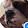 Doggy Dude