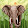Sreenu Vipin A