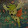 legendary pokemon master flaming bolt