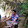 zubair khan