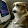 Coder Pup