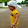 Manit Chuvit
