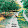 U_n_t_a_b_l_e RECORDS