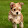 ChubbyPuppy85