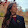 gianna hall