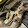 sam 13579