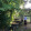 Ori_Film mz