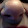 ruby poop