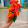 Cuộc sống Vùng Tây Bắc