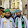 Muzaffar Saiyed
