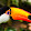 Toucan Pam