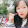 Trà Hương