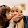 jinsaker