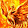 Fénix