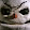 Jack Frost
