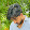Aman Yadav