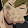 Makoto Tachibana