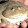 Fatlittlefrog