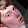 Ethan warblow 2