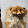 Vulpes Inculta