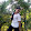 Adrian Punzalan