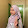 Mubaraka Ahmad