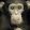 Winston Knowitall