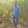 suresh suntam