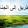 الواثقة بالله ديني جنتي
