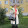 Светлана Воронина