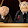 Politics From The Balcony