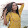 Aswwinii Balkrishnan