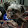 Ericah love dogs and geckos reese
