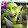 GEO CLASHER GEO CLASHER
