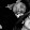 _ Peppex41