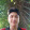 tung trieu