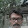 disha cabs