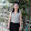 Han Tran