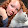 Tabby Cat