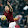 ULTRAS ROMA