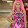 Ale Minaj
