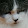 CaT GEMMER