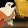 Zenox DS
