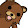 Pedo Bear