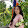 Quynhhuong Vothi