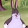 big chungus