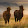 equitana love
