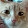 shuygamer 367