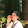 panyaporn kankarn