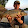 LiveFishing